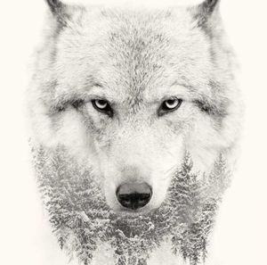 Meet your Posher, Tristan